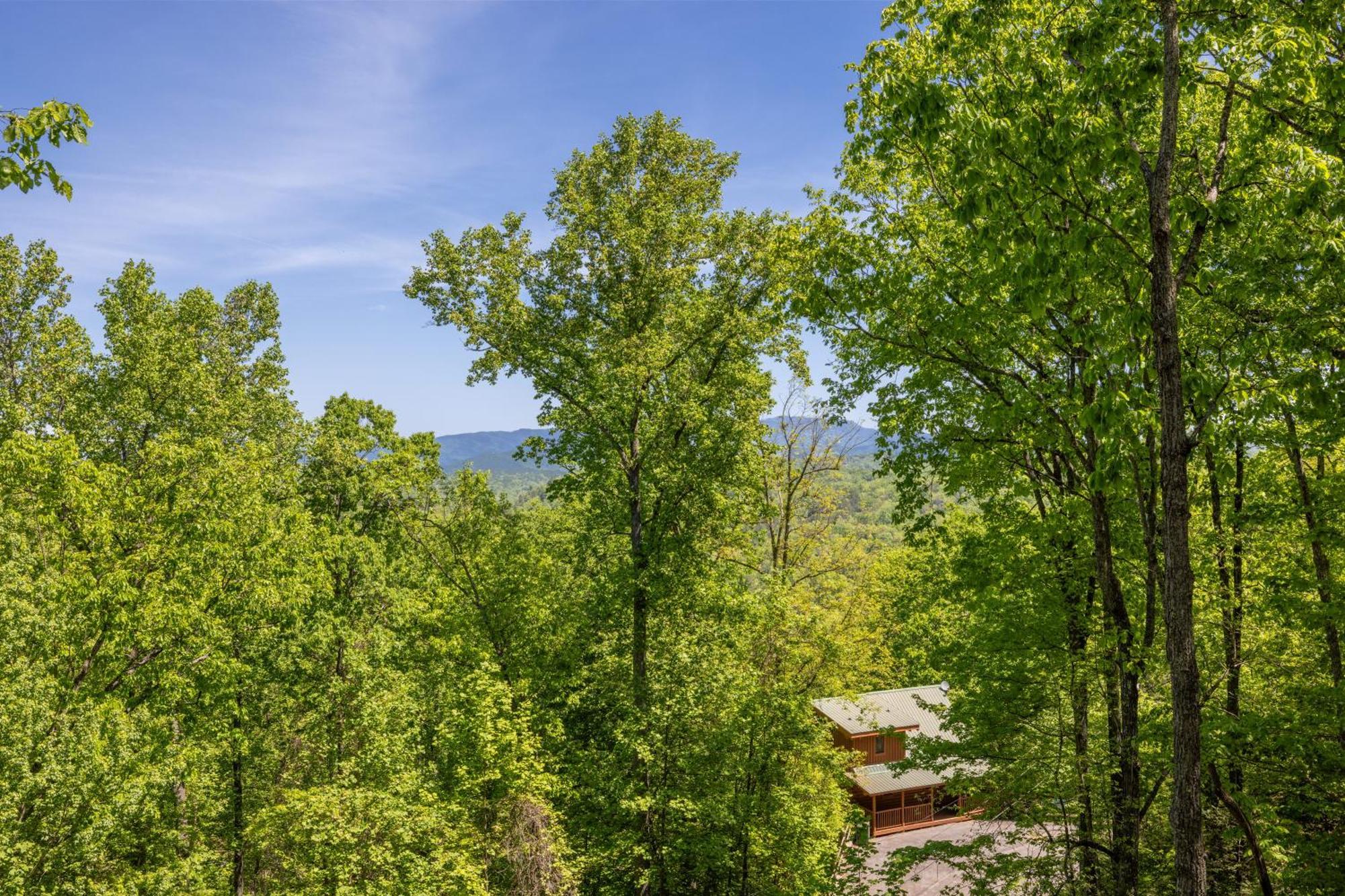 Moonlight Obsession A Dog Friendly 2 Bd 2 Bath Log Cabin Located 5 Miles From Downtown Gatlinburg Vila Exterior foto